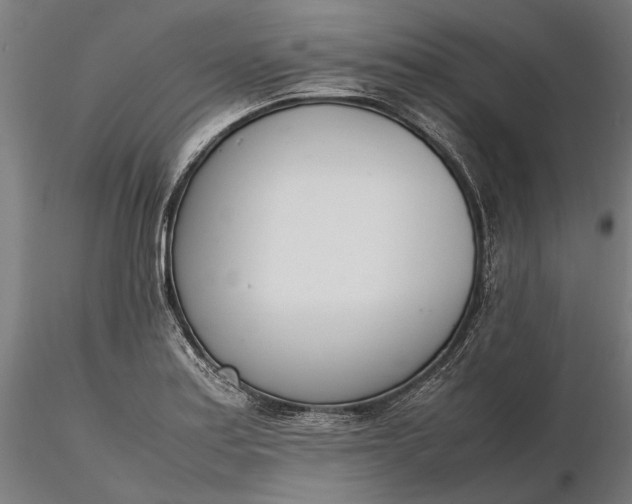X0000116331179200912151259