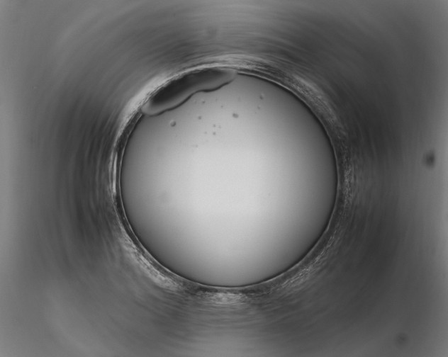 X0000116331180200912151259