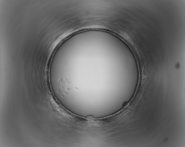 X0000116331181200912151259