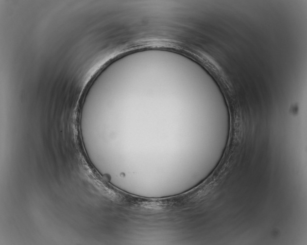 X0000116331182200912151259