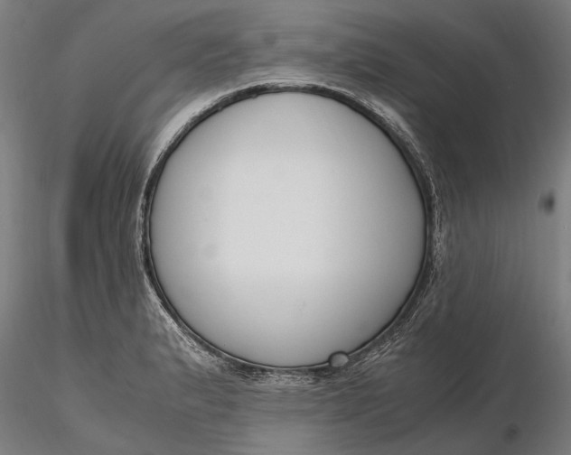X0000116331183200912151259