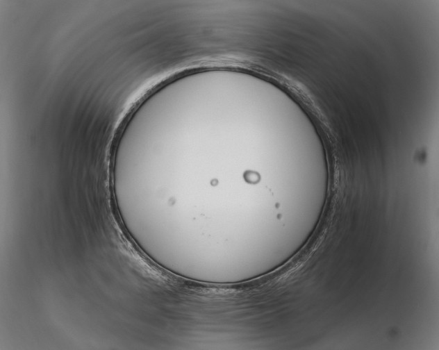 X0000116331184200912151259