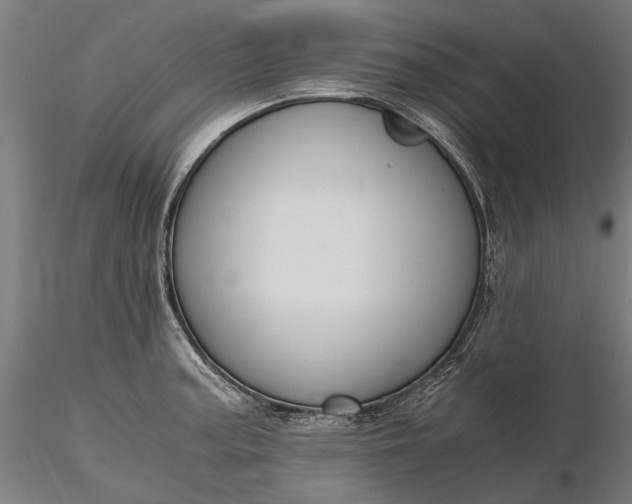 X0000116331187200912151259