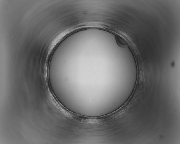 X0000116331188200912151259