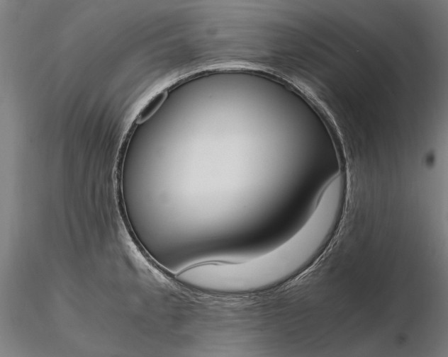 X0000116331189200912151259
