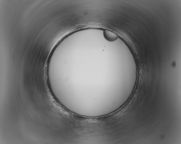 X0000116331190200912151259