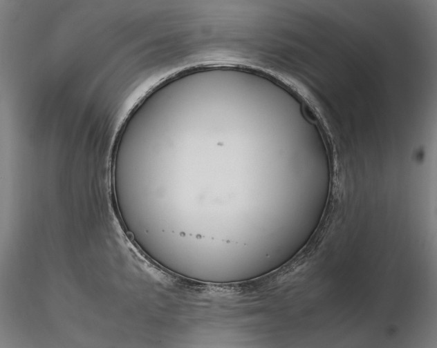 X0000116331191200912151258