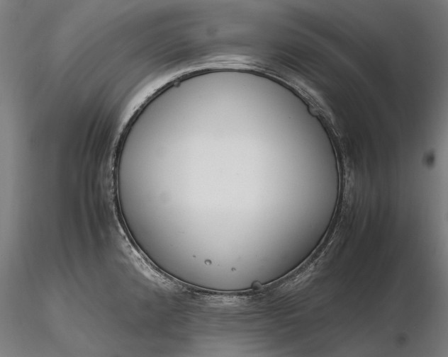 X0000116331192200912151258