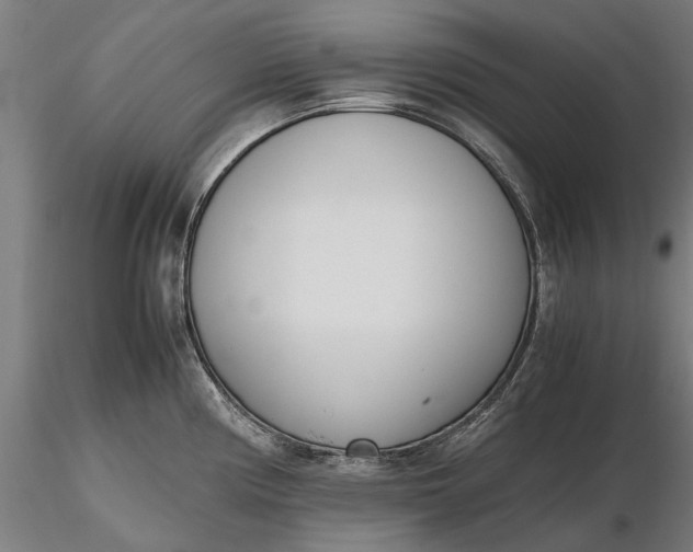 X0000116331194200912151258
