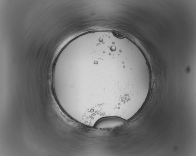 X0000116331195200912151258