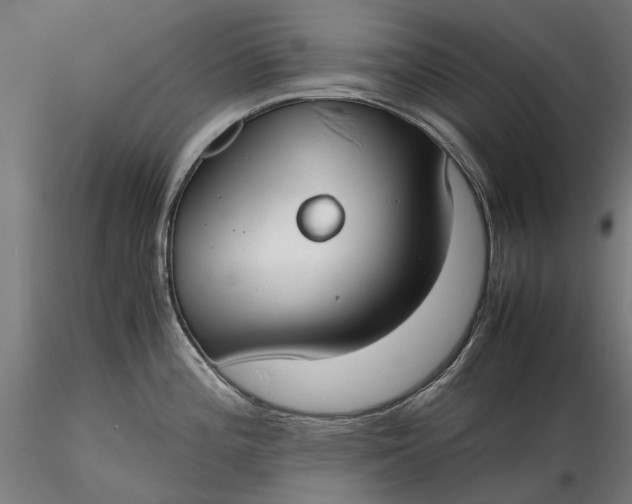 X0000116331196200912151258