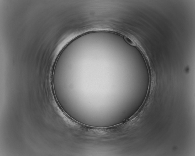 X0000116331197200912151258