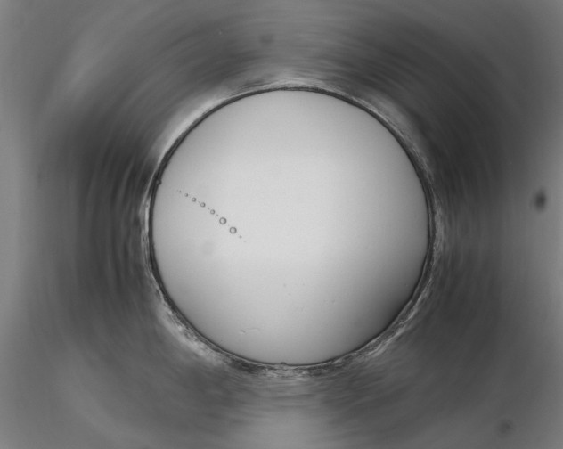X0000116331198200912151258