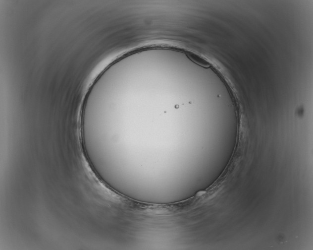 X0000116331199200912151258