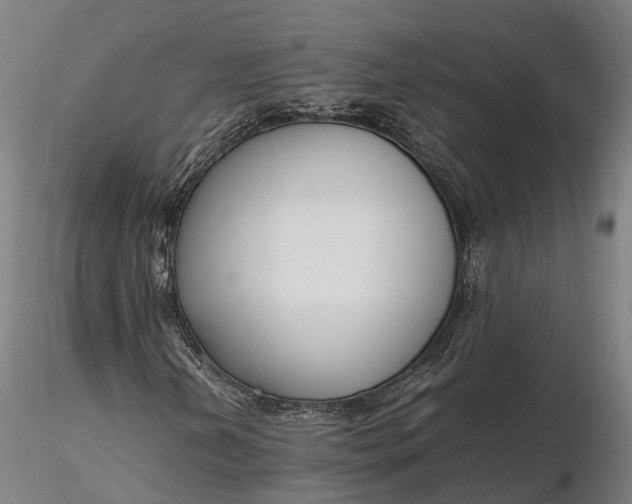 X0000116331202200912151258