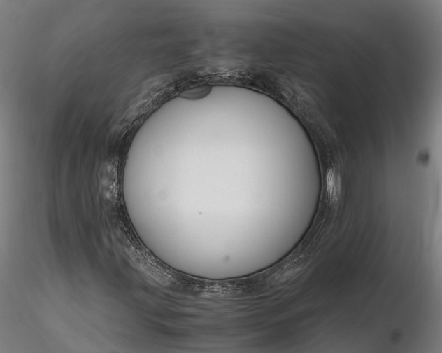X0000116331203200912151258