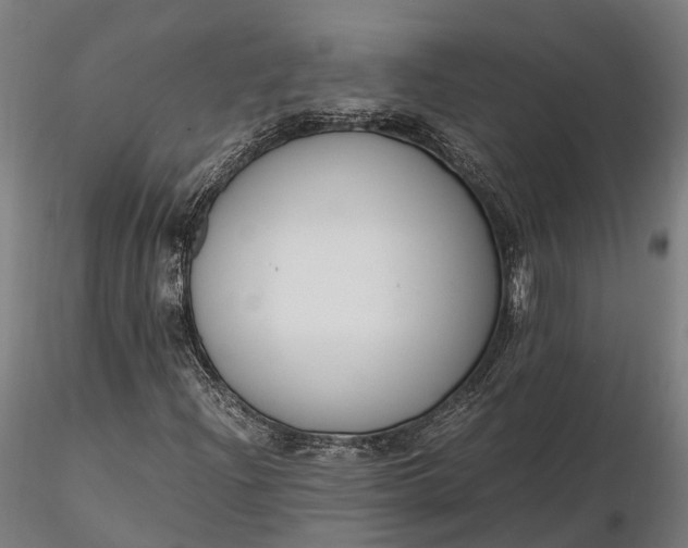 X0000116331204200912151258