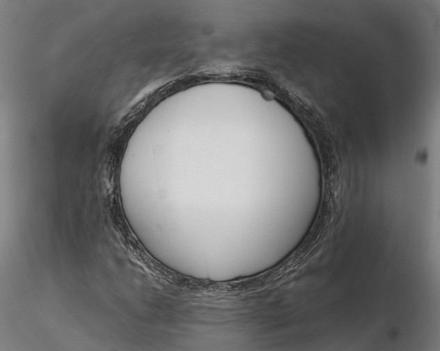 X0000116331206200912151258