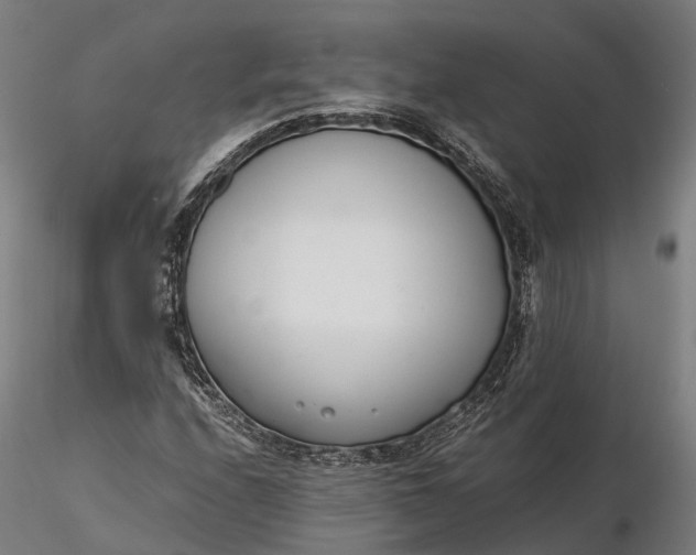 X0000116331208200912151258