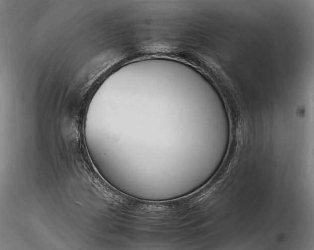 X0000116331209200912151258