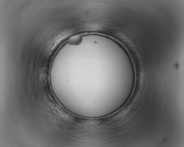X0000116331210200912151258