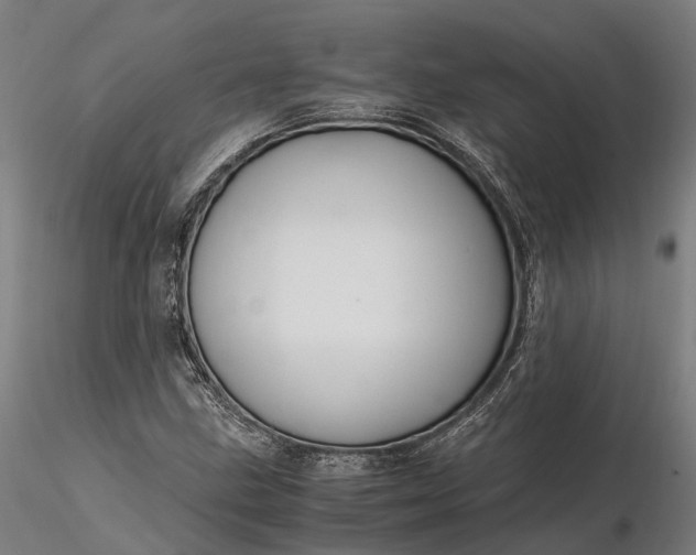 X0000116331211200912151258
