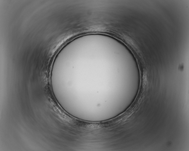X0000116331212200912151258