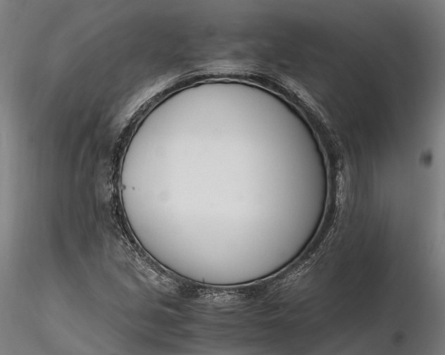 X0000116331213200912151258