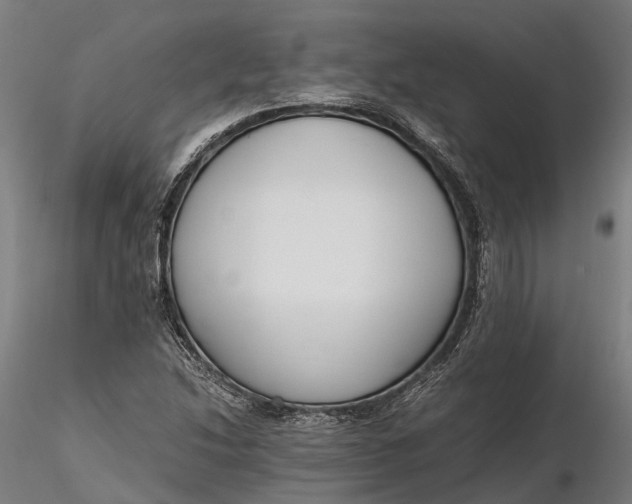 X0000116331214200912151258