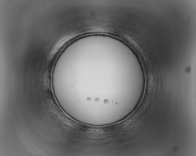X0000116331215200912151258