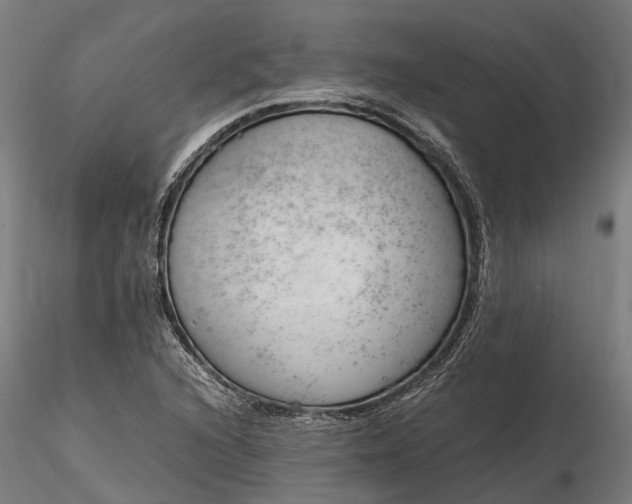 X0000116331216200912151258
