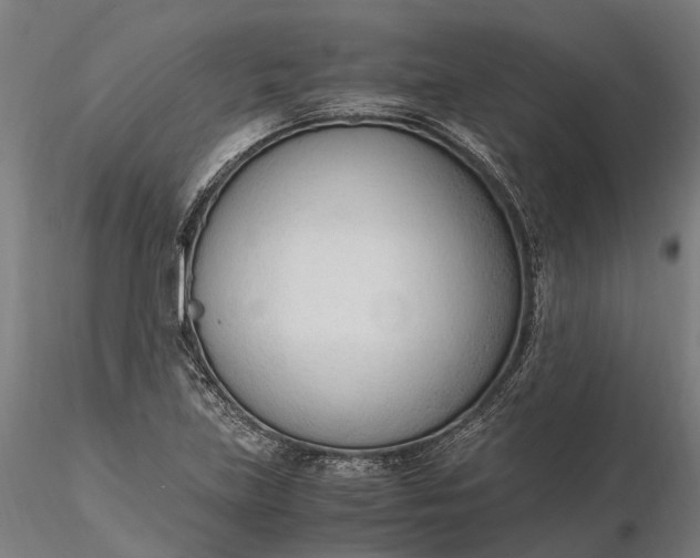 X0000116331219200912151258