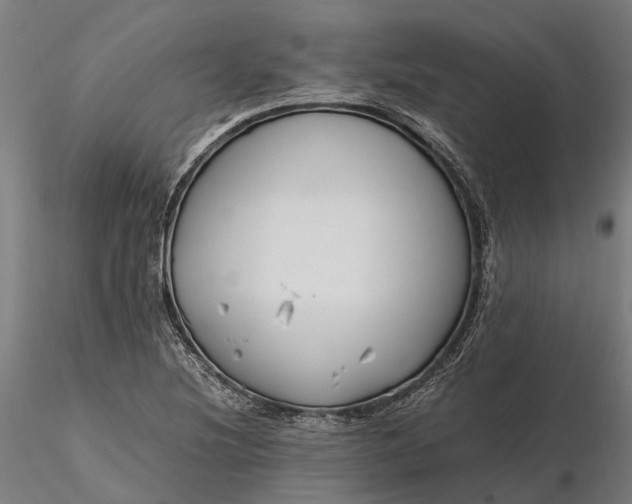 X0000116331220200912151258