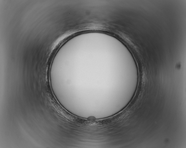 X0000116331222200912151258