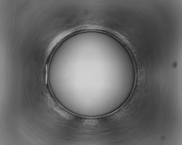X0000116331223200912151258