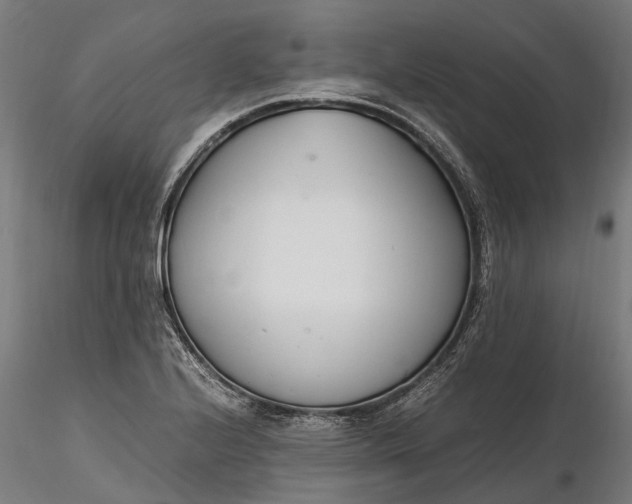X0000116331224200912151258