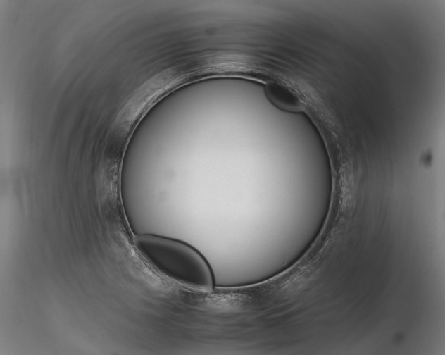 X0000116331225200912151258