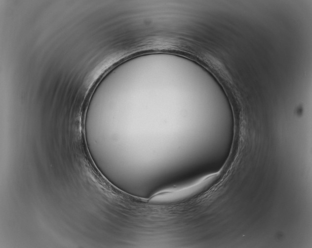 X0000116331226200912151258