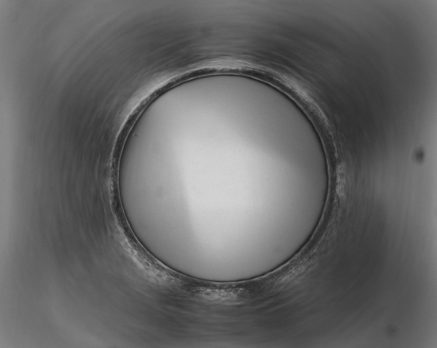 X0000116331229200912151258