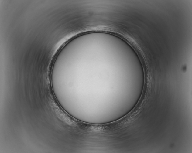 X0000116331230200912151258