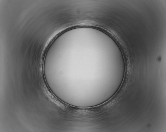 X0000116331232200912151258