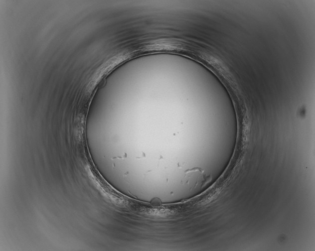 X0000116331233200912151258