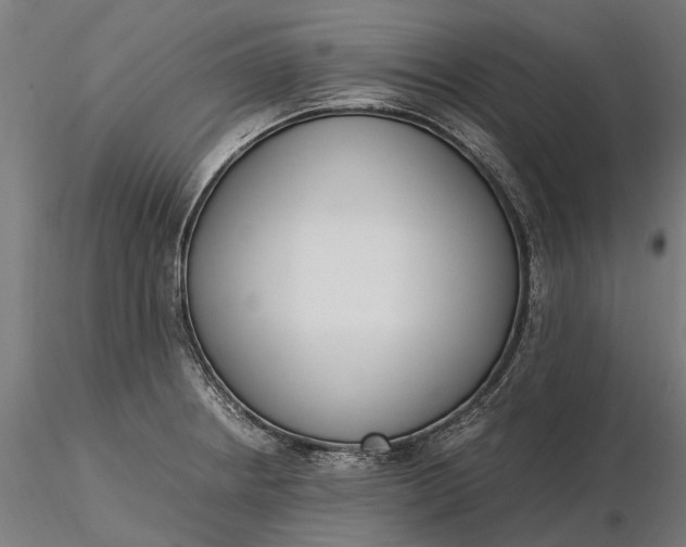 X0000116331234200912151258