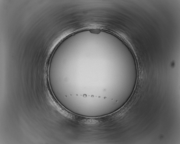 X0000116331235200912151258
