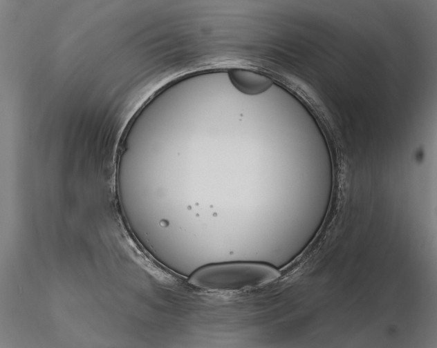 X0000116331236200912151258