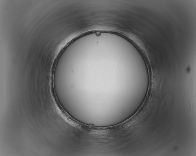 X0000116331237200912151258