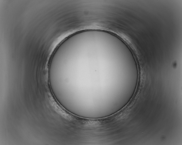 X0000116331238200912151258