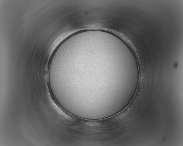 X0000116331239200912151258