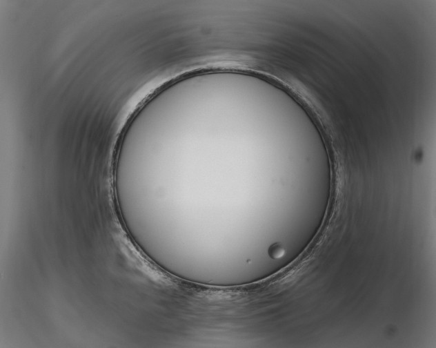 X0000116331240200912151258