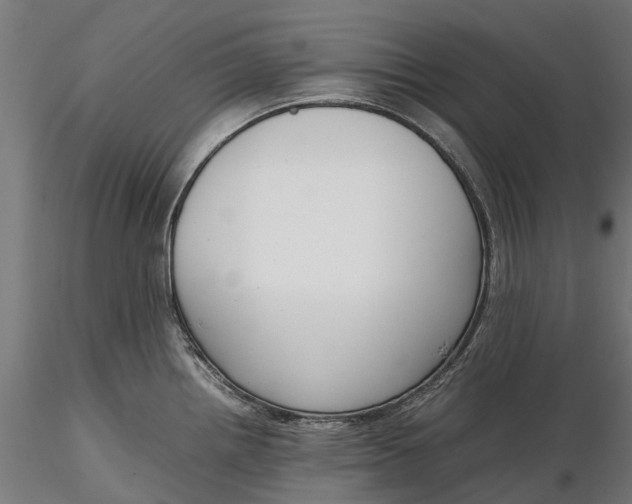 X0000116331242200912151258